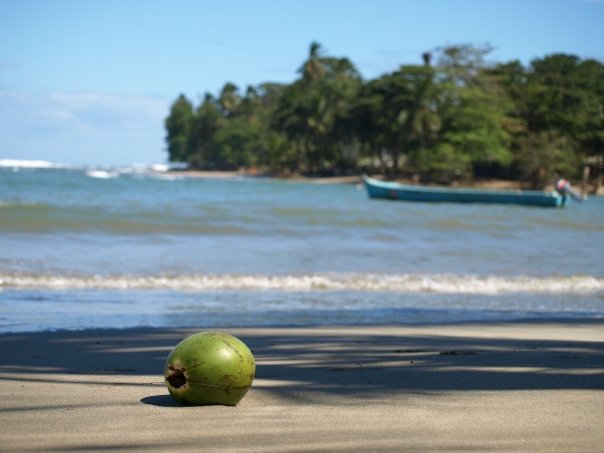 A tranquil beach at Punto Uva, near Puerto Viejo, Costa Rica. Photograph: Matthew Barker 2008