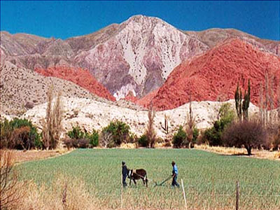 Argentina Hills