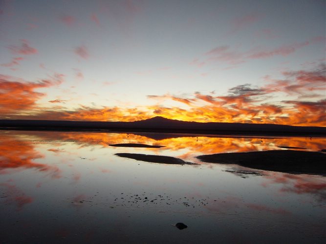 Sunset at Salar de Atacama. Photo courtesy of Aleksandar Jankovic.