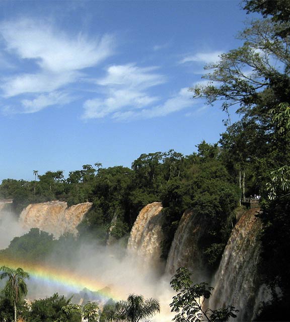 A rainbow forming amidst the lush green vegetation and falling water of Iguazu Falls.